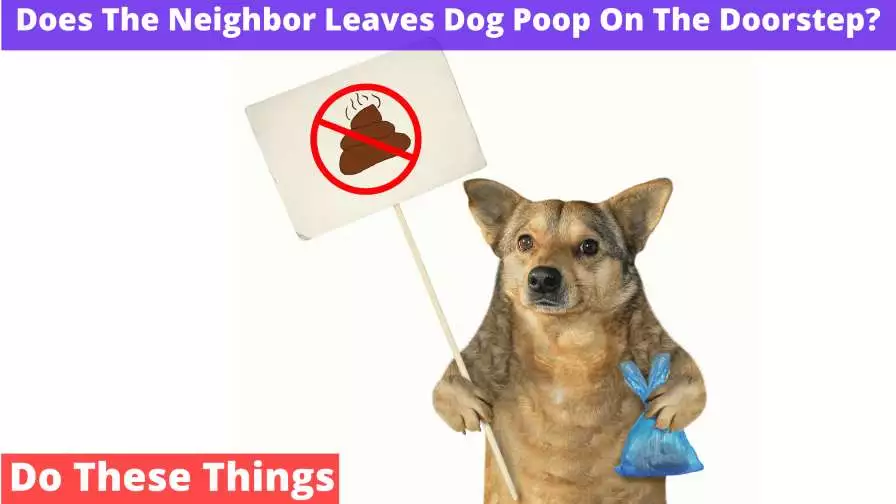 Does The Neighbor Leaves Dog Poop On The Doorstep