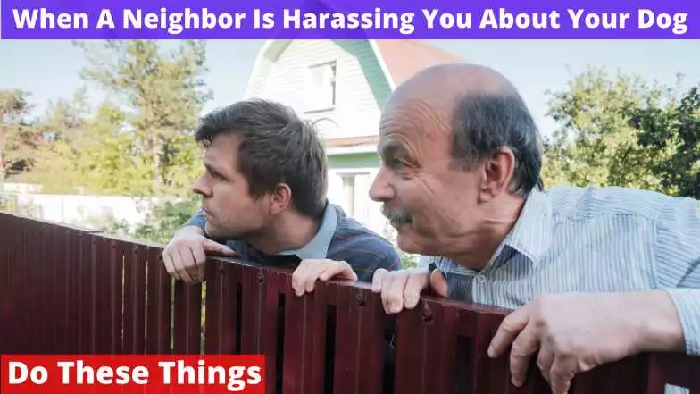 When A Neighbor Is Harassing You About Your Dog