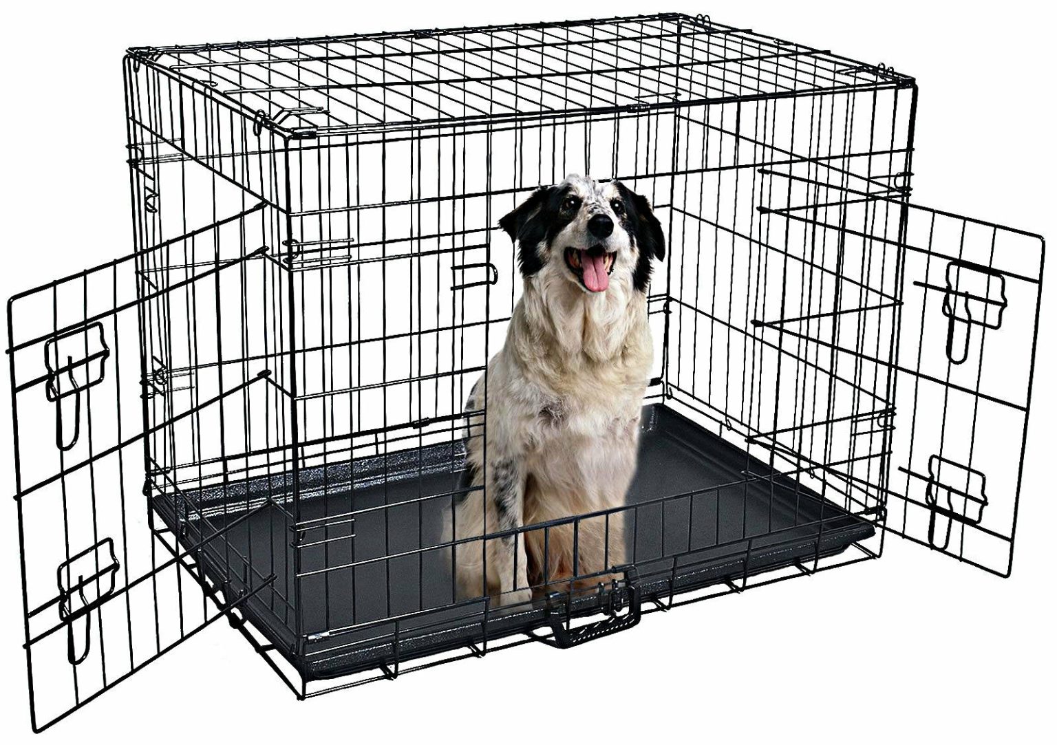 Best Dog Crate Reviews Find the One for Your Dog!