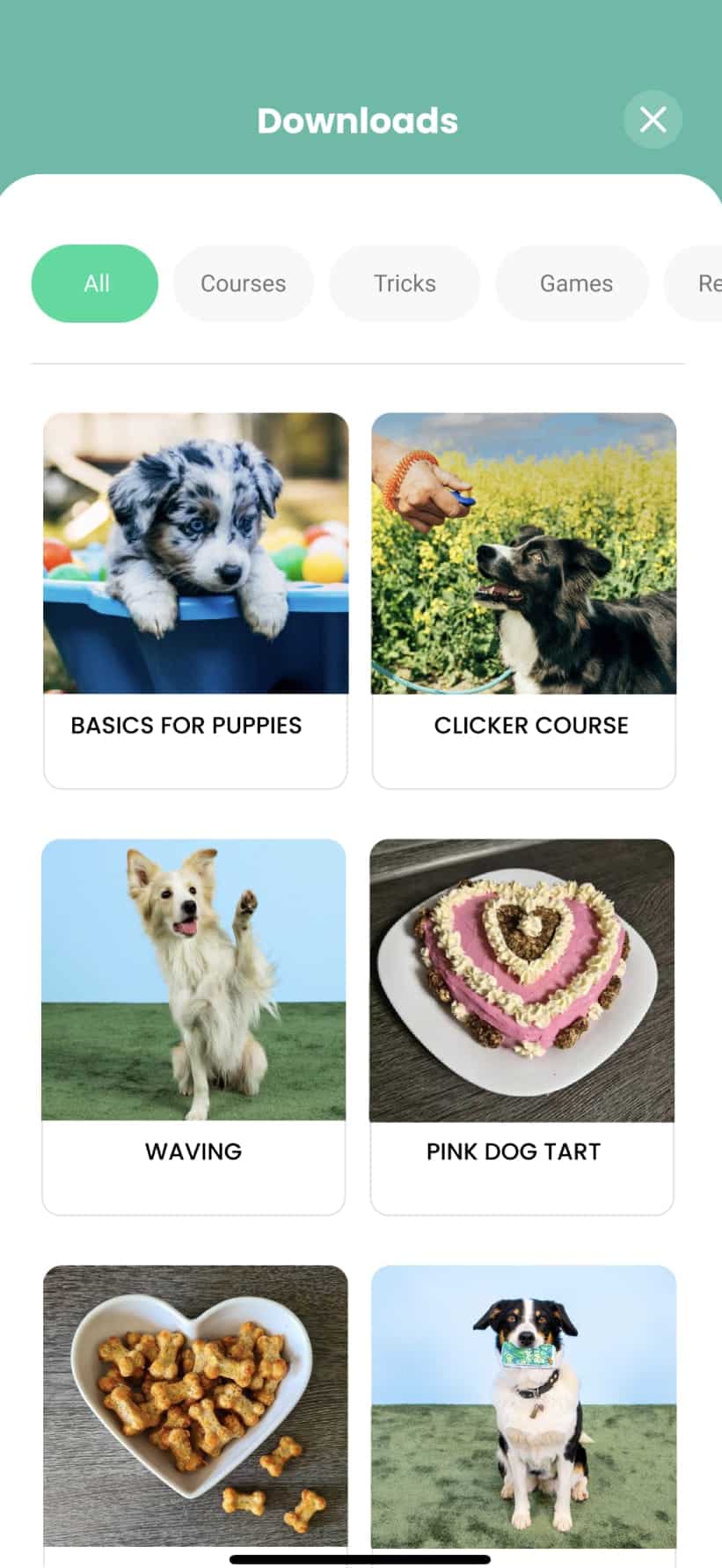 The Best Dog Training App, From Hundeo