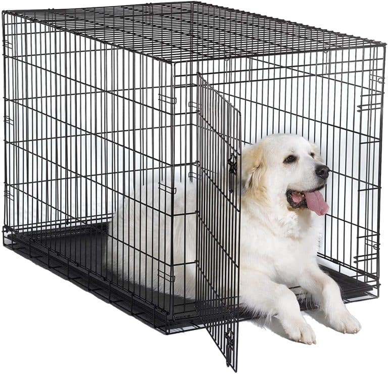 Best Dog Crate Reviews Find the One for Your Dog!
