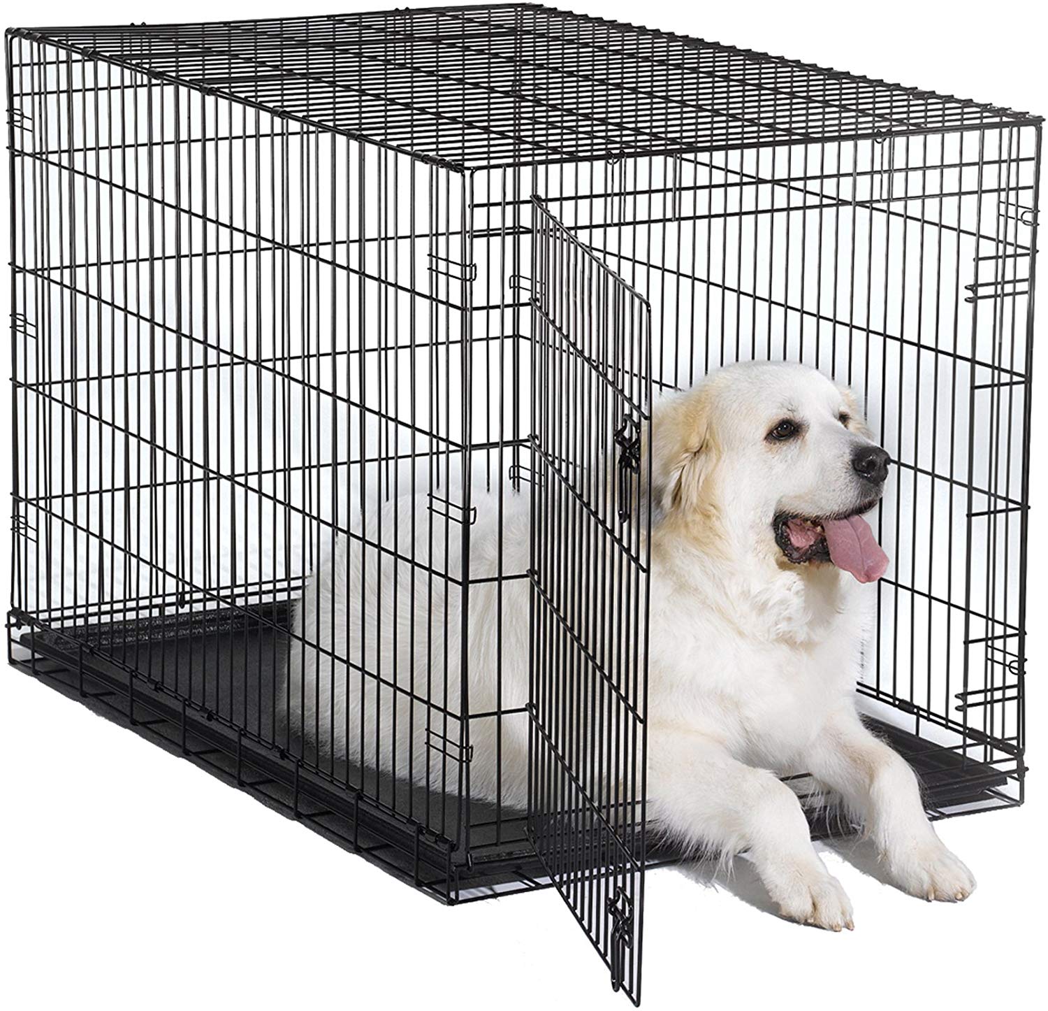 Best Dog Crate Reviews Find the One for Your Dog!