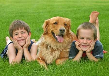 2 Kids lying in grass with a dog between them