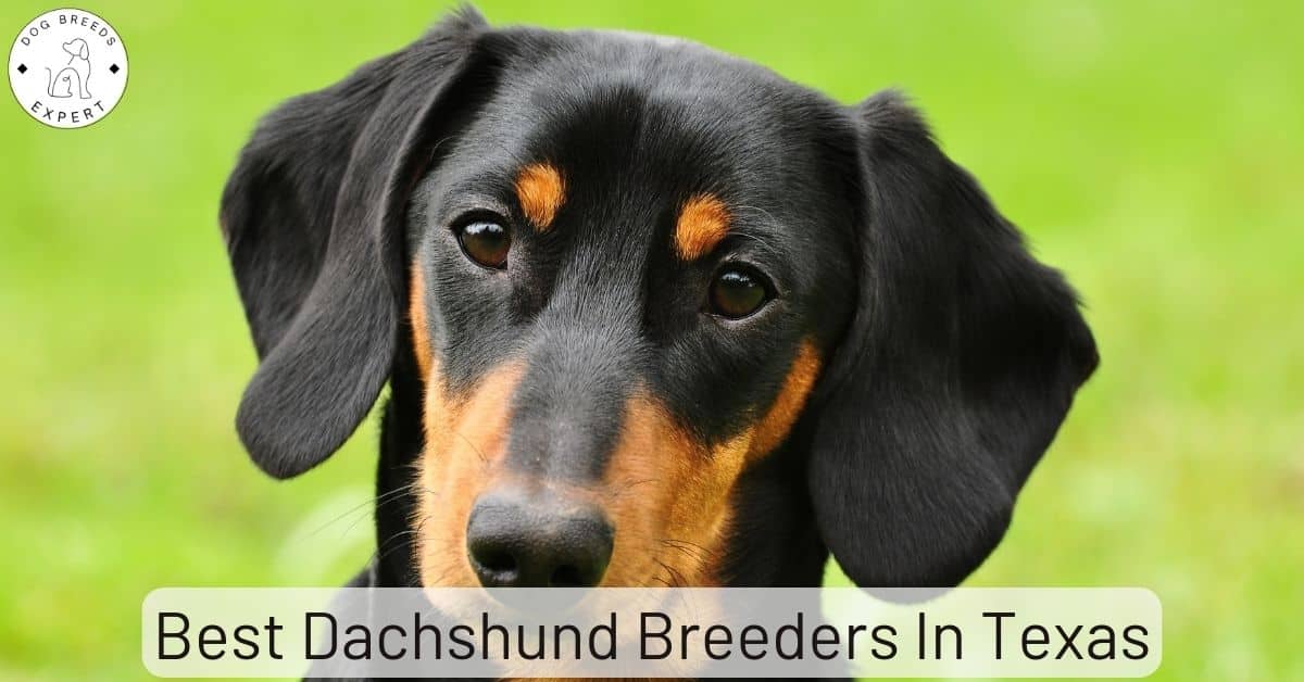 Enjoyhiga Blog enjoyhiga-blog