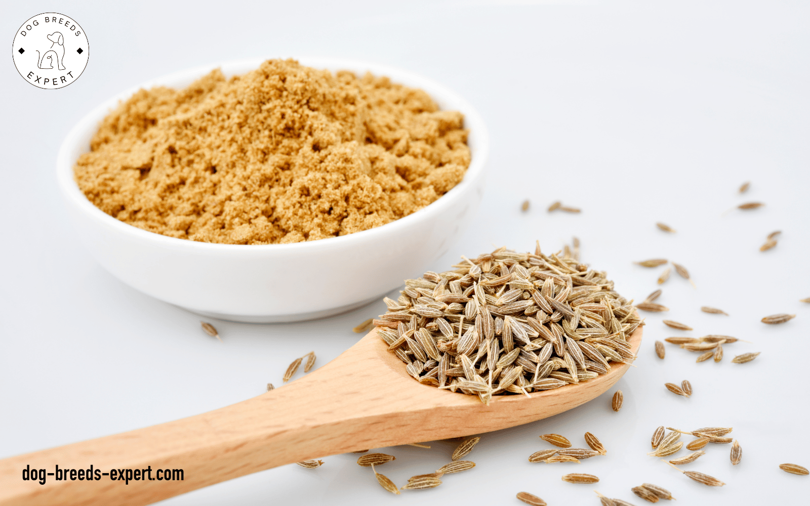 Can Dogs Eat Cumin? And Do They Benefit From It?