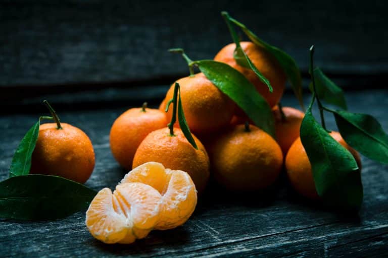 Can Dogs Eat Mandarins? Yep, for sure