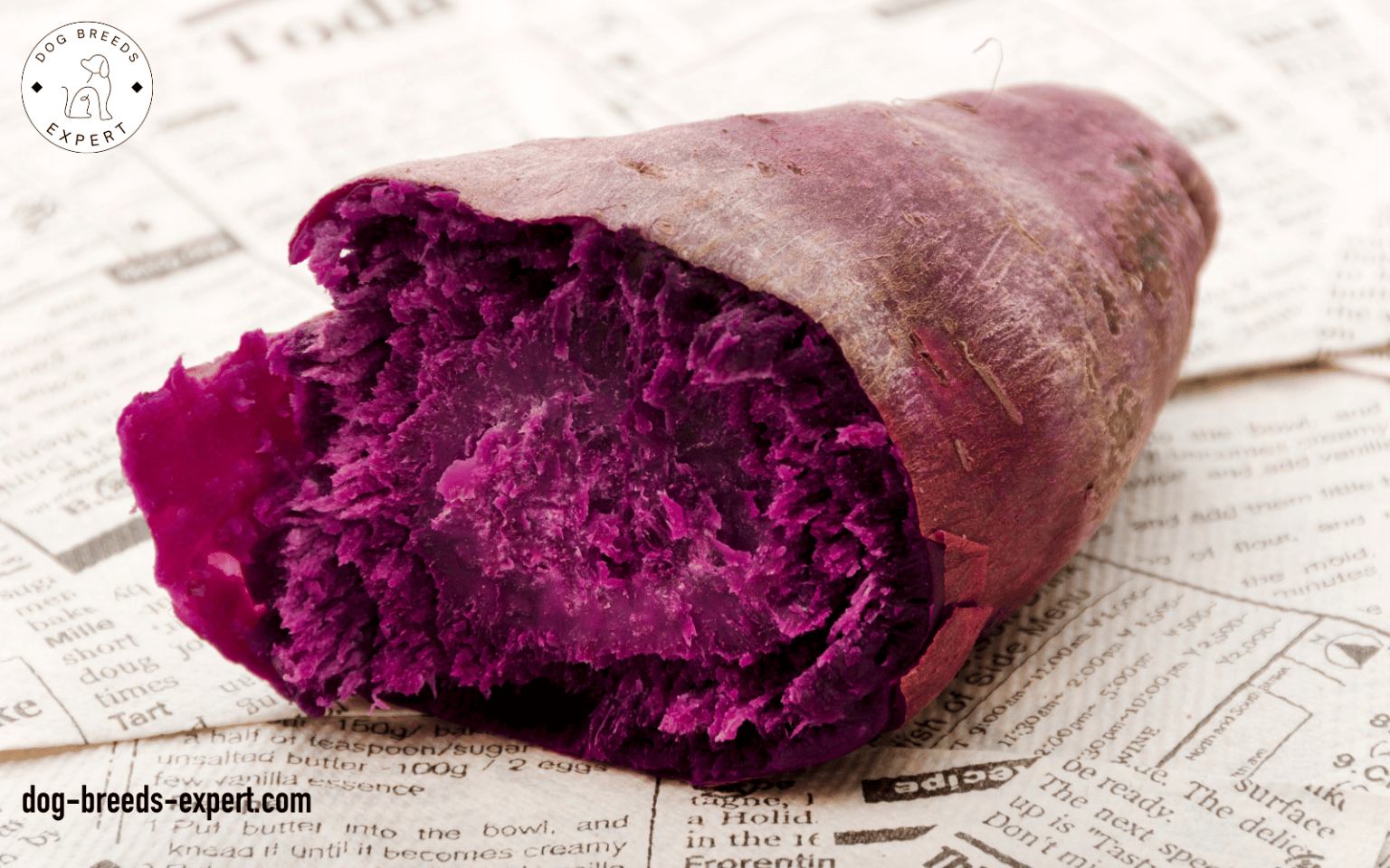 Can Dogs Eat Purple Yam? Let's Discuss