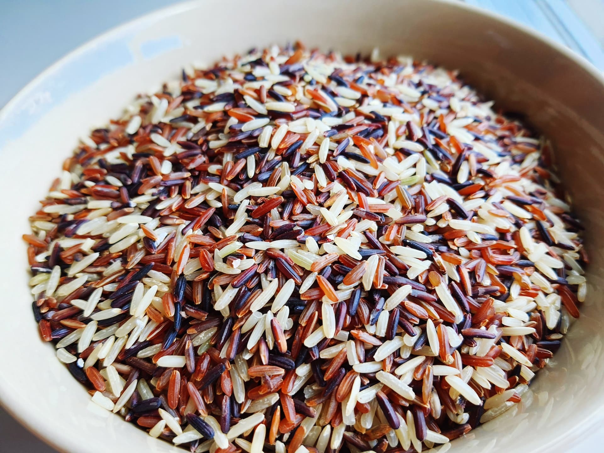 can-dogs-eat-jasmine-rice