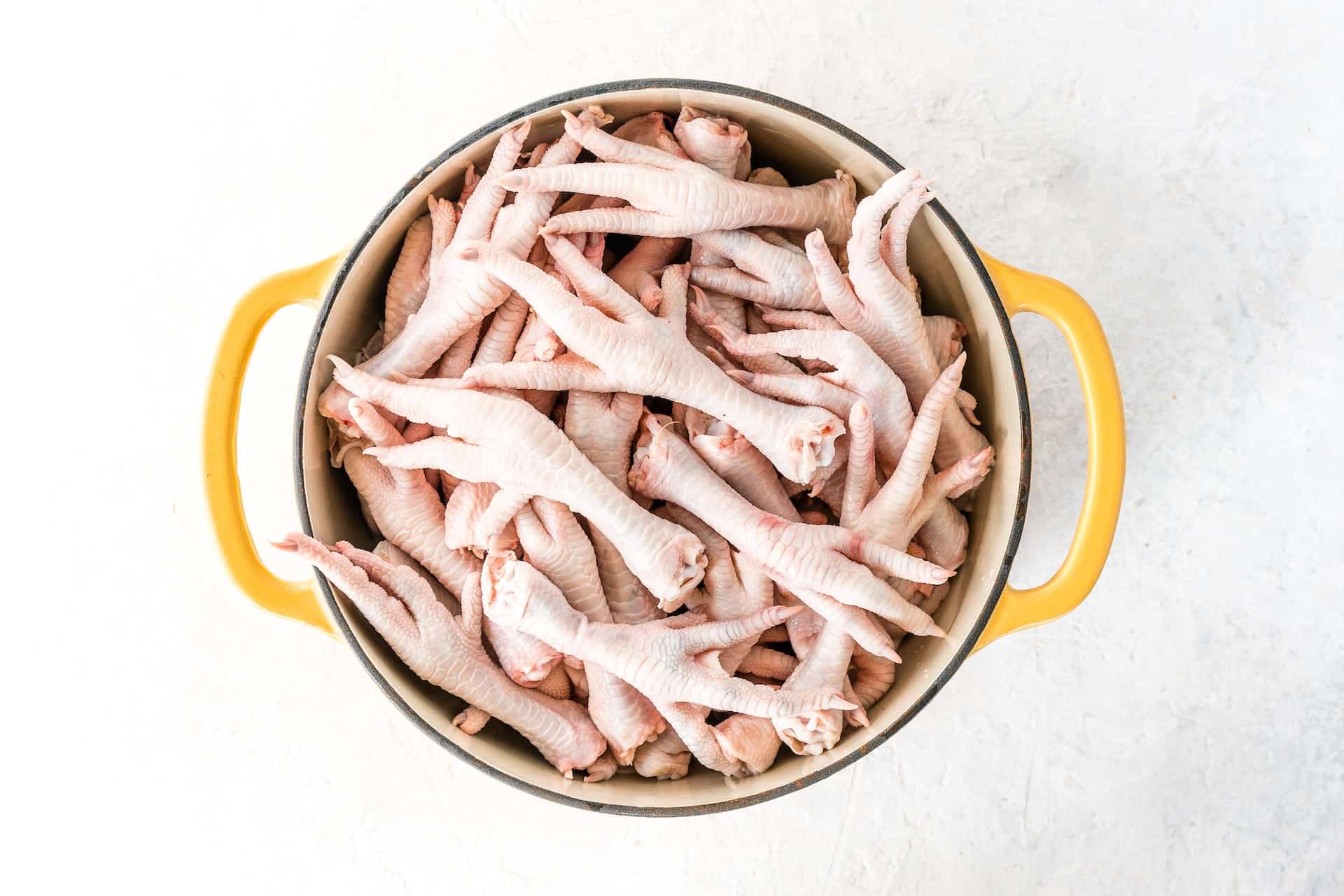 can-dogs-eat-chicken-feet-do-not-feed-them-to-your-dog-until-you-read-this