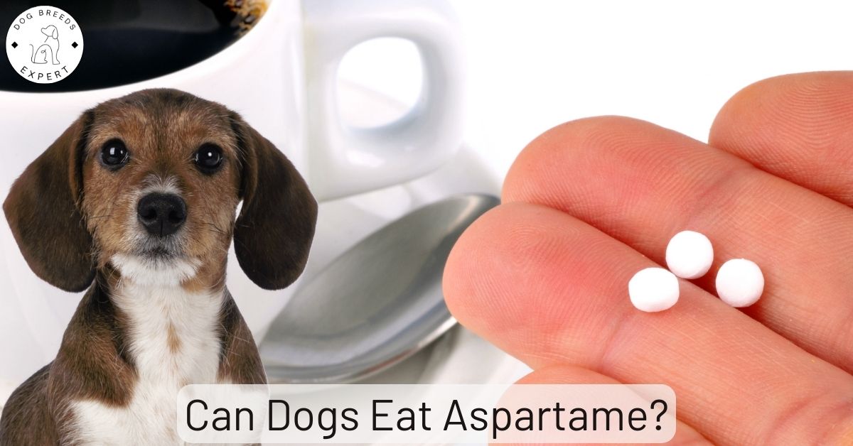 Is Artificial Sweetener Bad For Dogs