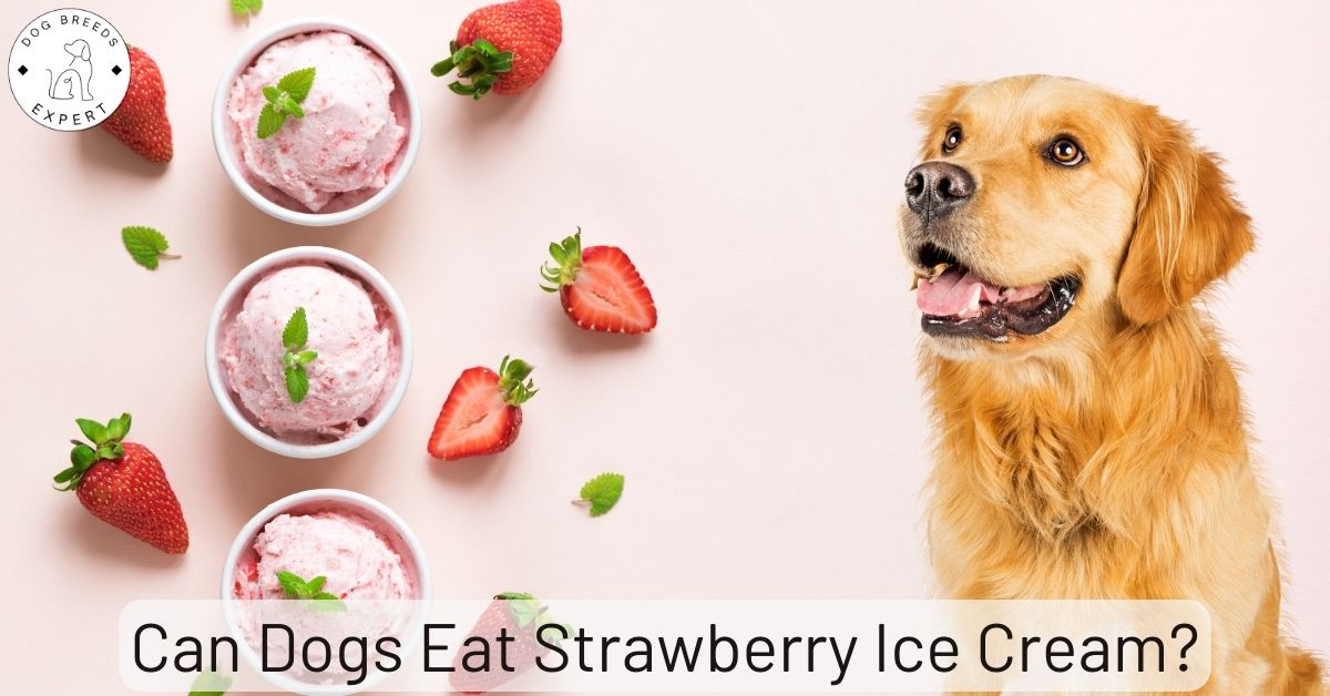 Can Dogs Eat Strawberry Ice Cream Nutritional Info 