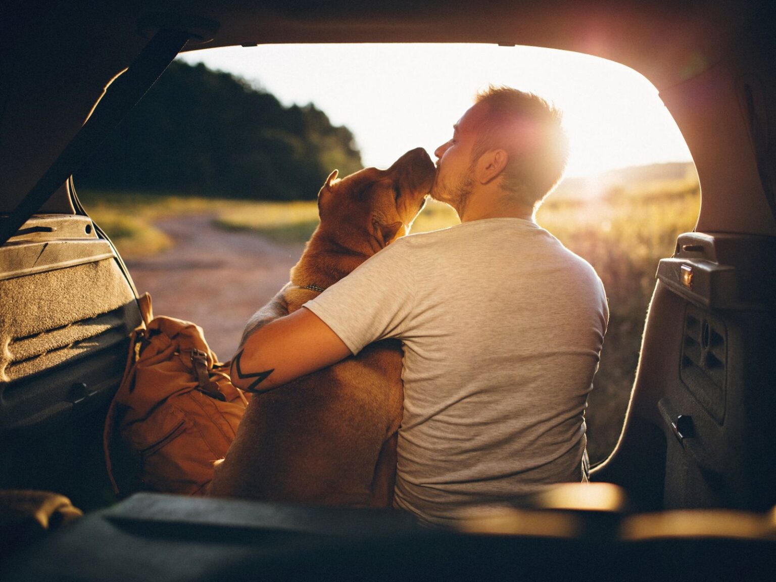 [11 Reasons] Why Does My Dog Prefer My Husband Over Me?
