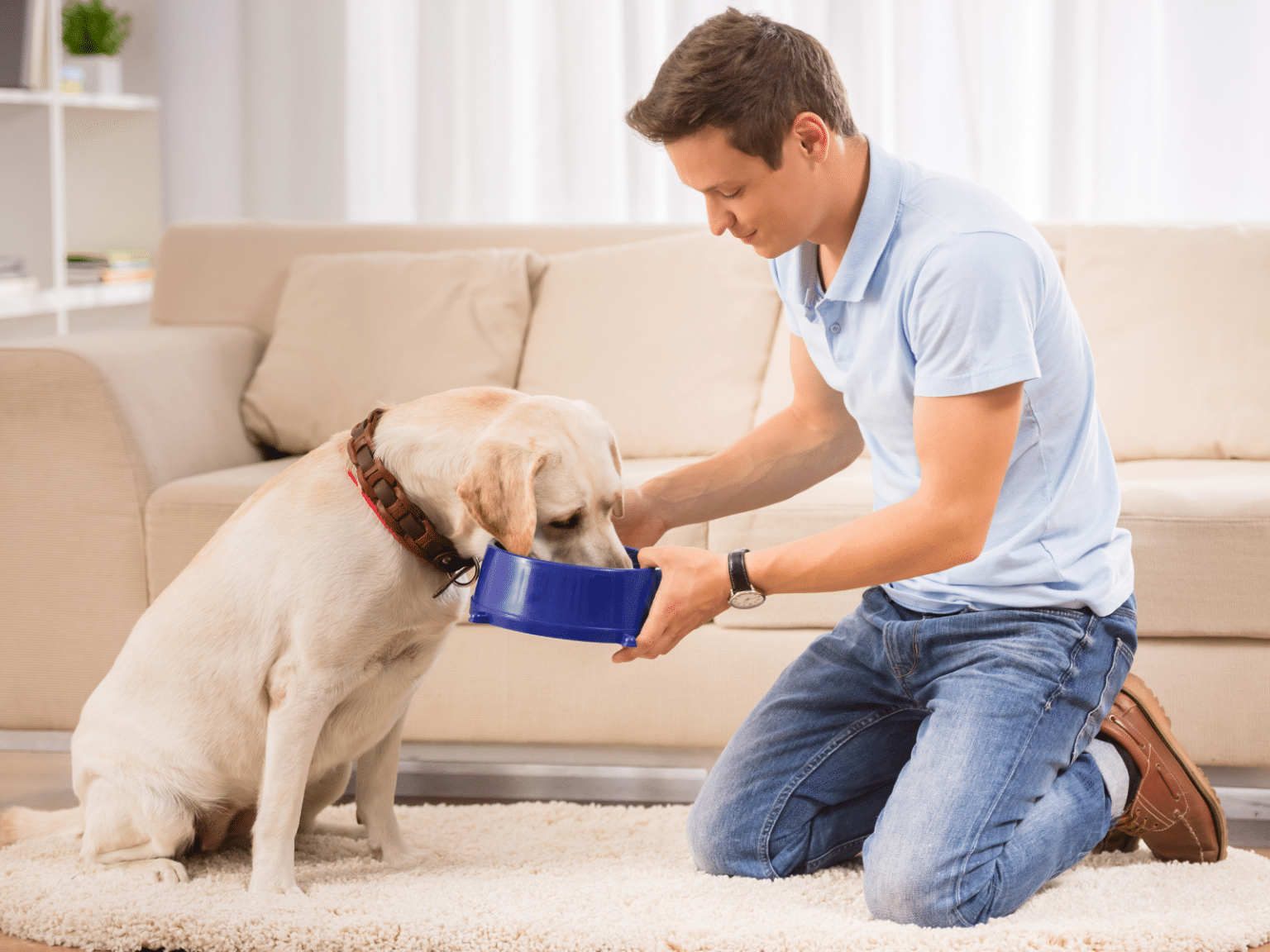 Can Dogs Eat Tilapia? Is It Safe?