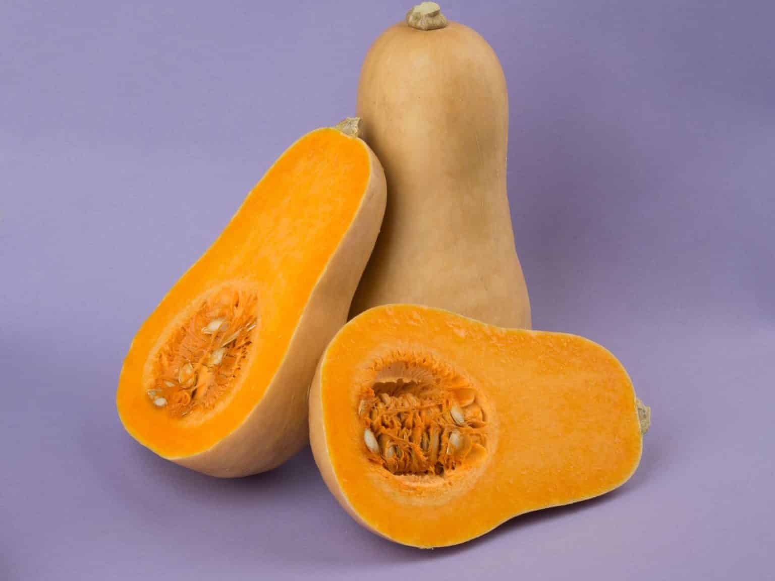 Can Dogs Eat Butternut Squash?