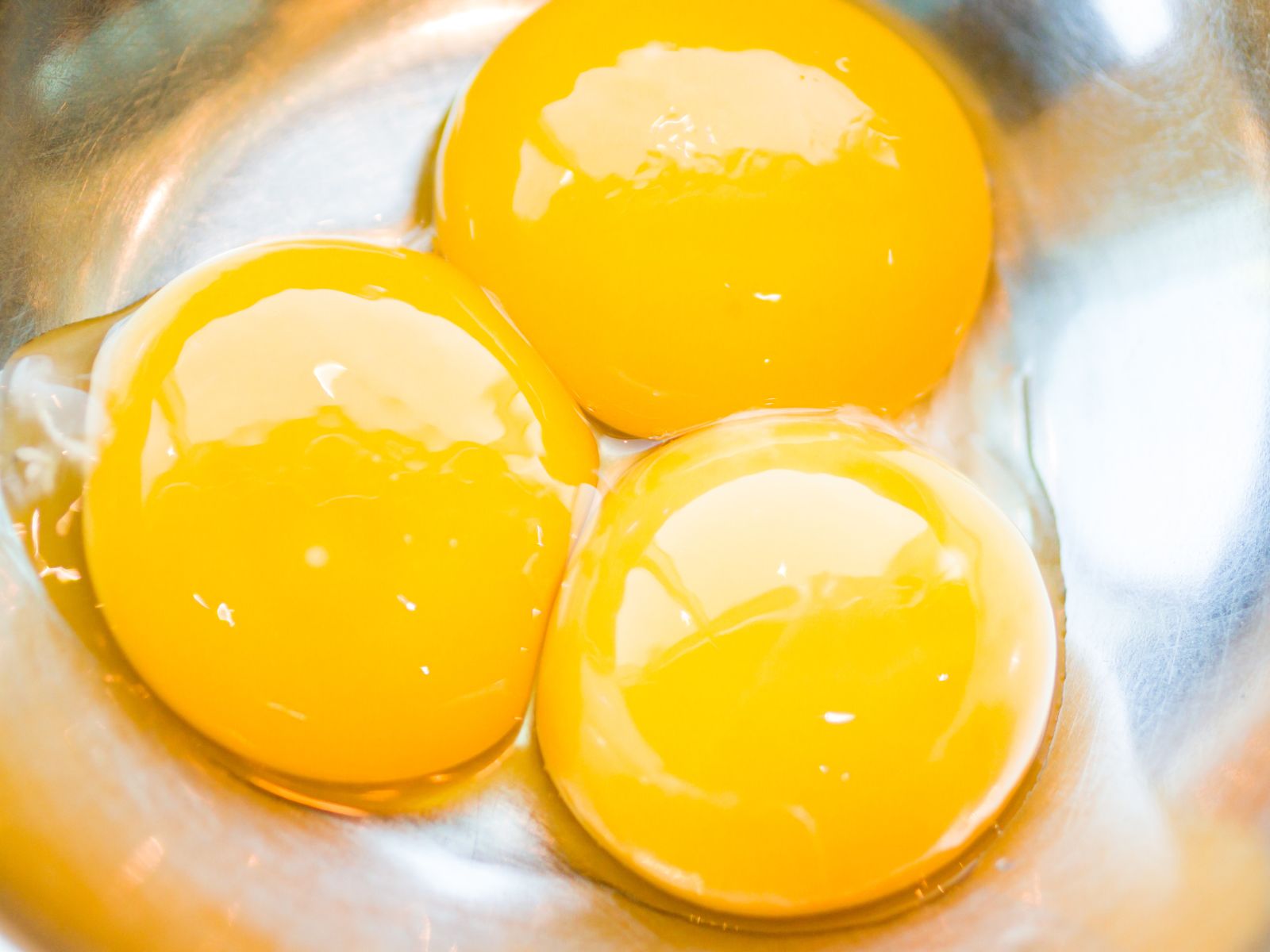 Can Dogs Eat Egg Yolk [Nutritional Info]