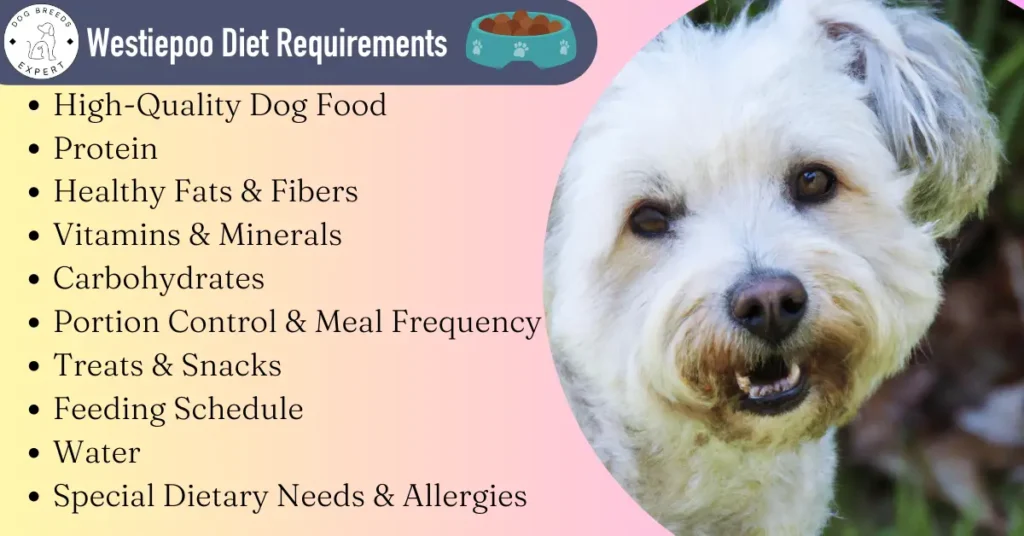 Westiepoo diet requirements