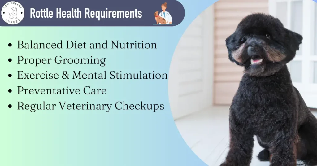 Rottle Health Requirements