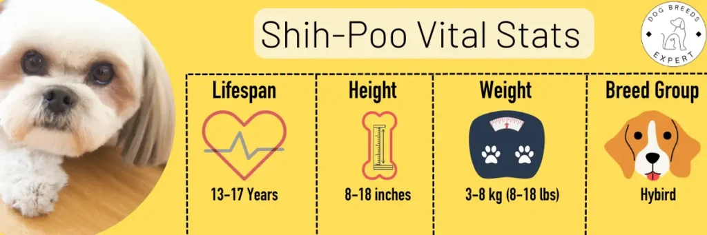 Shih-Poo vital stats