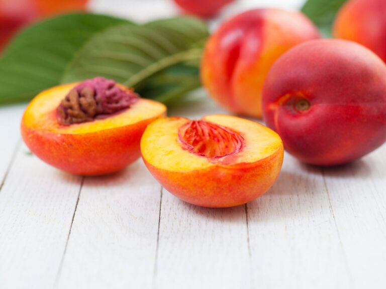 Can Dogs Eat Nectarines? [Read On]