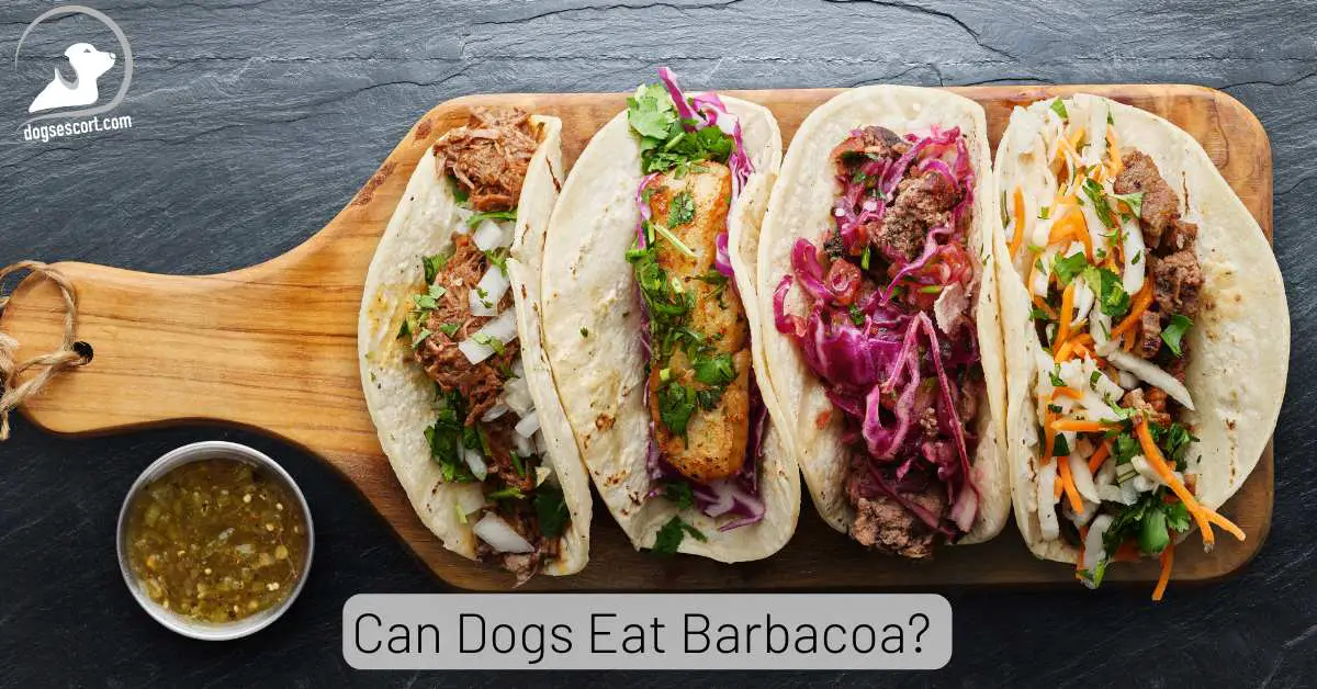 Can Dogs Eat Barbacoa