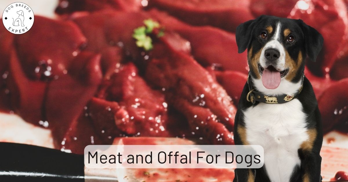 Meat and Offal For Dogs