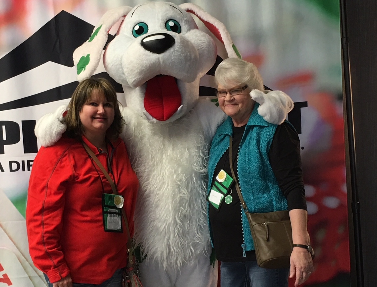 Maltipoo Breeders in Oklahoma List of 3 Local Breeders