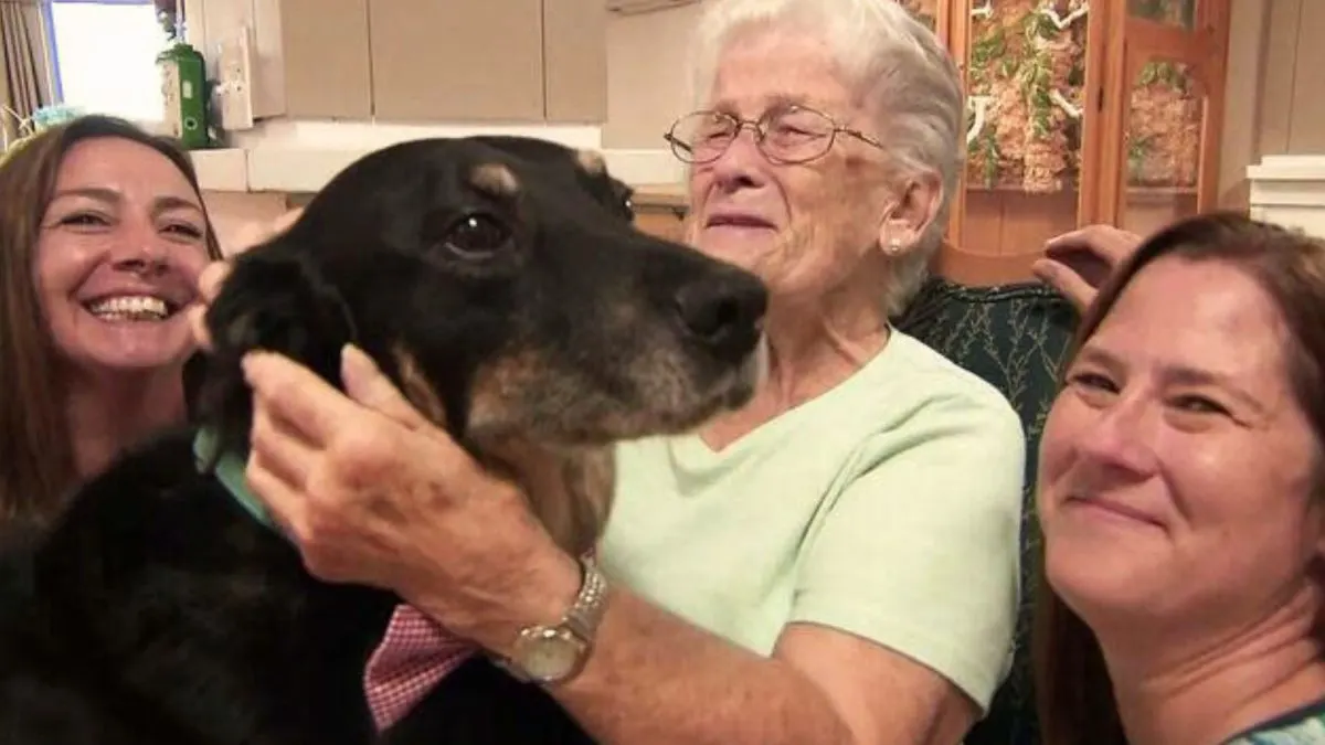 Dog Breaks Out of Shelter to Visit Nursing Home Residents